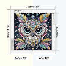 Load image into Gallery viewer, Owl 30*30CM(Canvas) Partial Special Shaped Drill Diamond Painting

