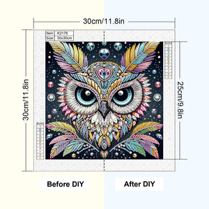 Owl 30*30CM(Canvas) Partial Special Shaped Drill Diamond Painting