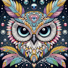 Load image into Gallery viewer, Owl 30*30CM(Canvas) Partial Special Shaped Drill Diamond Painting
