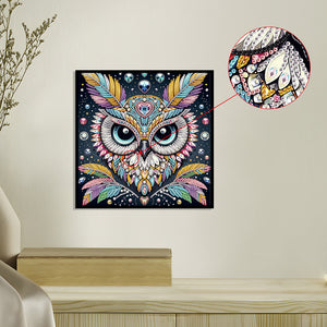 Owl 30*30CM(Canvas) Partial Special Shaped Drill Diamond Painting