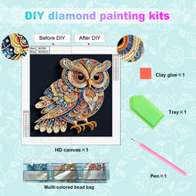 Load image into Gallery viewer, Owl 30*30CM(Canvas) Partial Special Shaped Drill Diamond Painting
