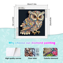 Load image into Gallery viewer, Owl 30*30CM(Canvas) Partial Special Shaped Drill Diamond Painting
