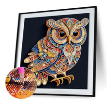 Load image into Gallery viewer, Owl 30*30CM(Canvas) Partial Special Shaped Drill Diamond Painting
