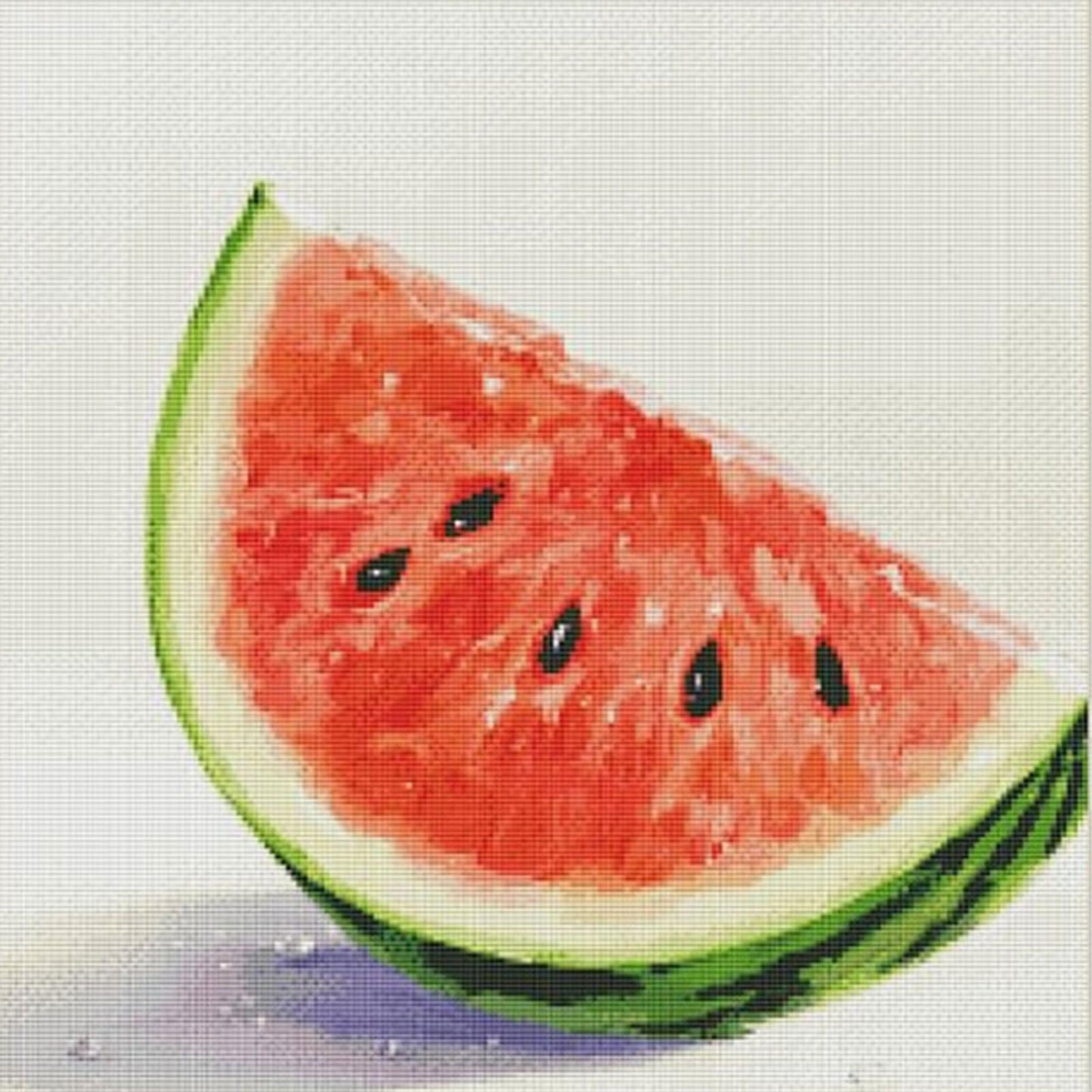 Fruits - Watermelon - Full 14CT Stamped Cross Stitch 50x50CM - Fairy Egyptian Cotton