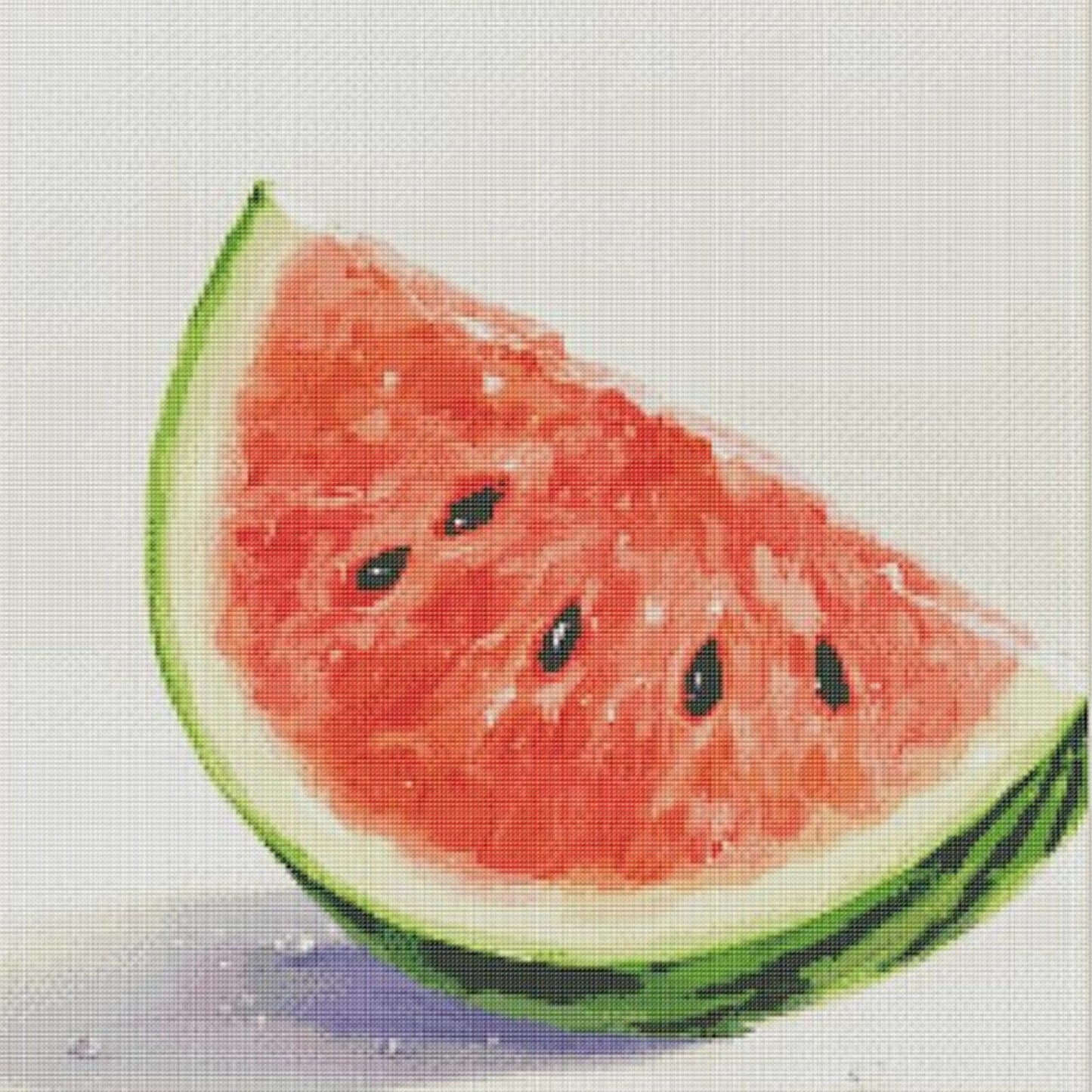 Fruits - Watermelon - Full 14CT Stamped Cross Stitch 50x50CM - Fairy Egyptian Cotton