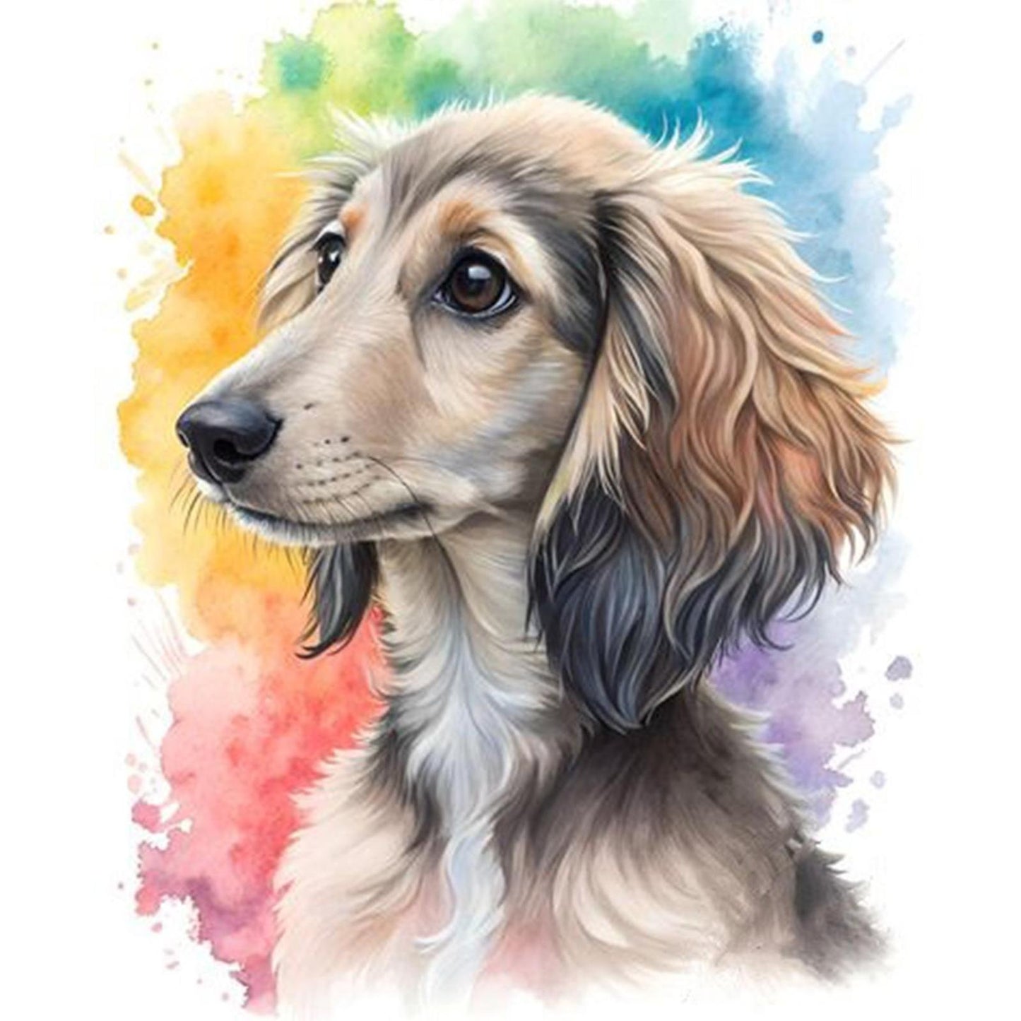Afghan Hound-Dog - Full 11CT Stamped Cross Stitch 40x50CM - Huacan