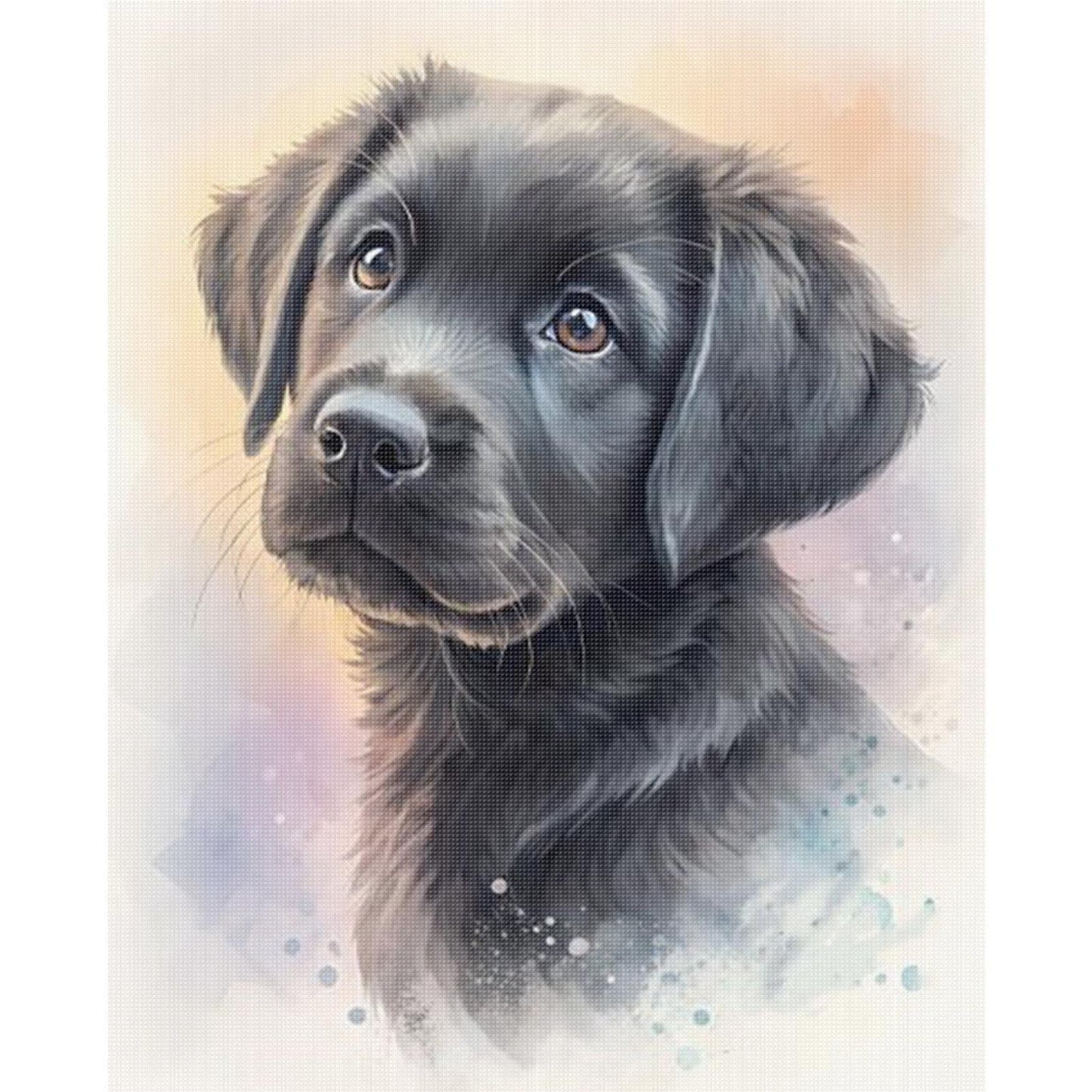 Labrador-Dog - Full 11CT Stamped Cross Stitch 40x50CM - Huacan
