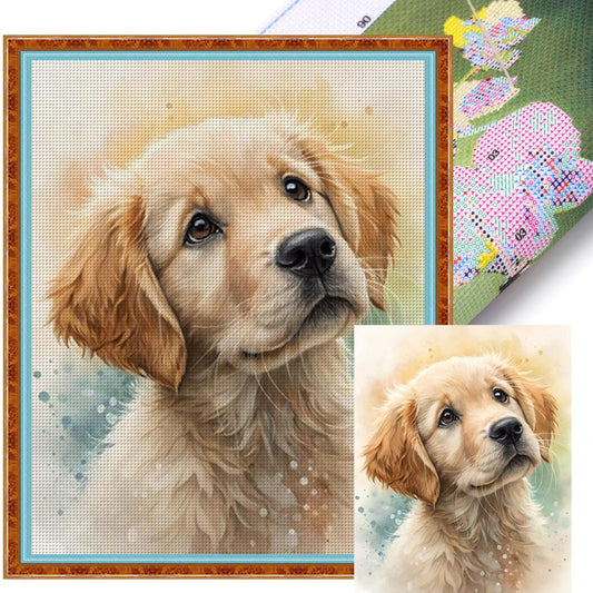 Golden Retriever-Dog - Full 11CT Stamped Cross Stitch 40x50CM - Huacan