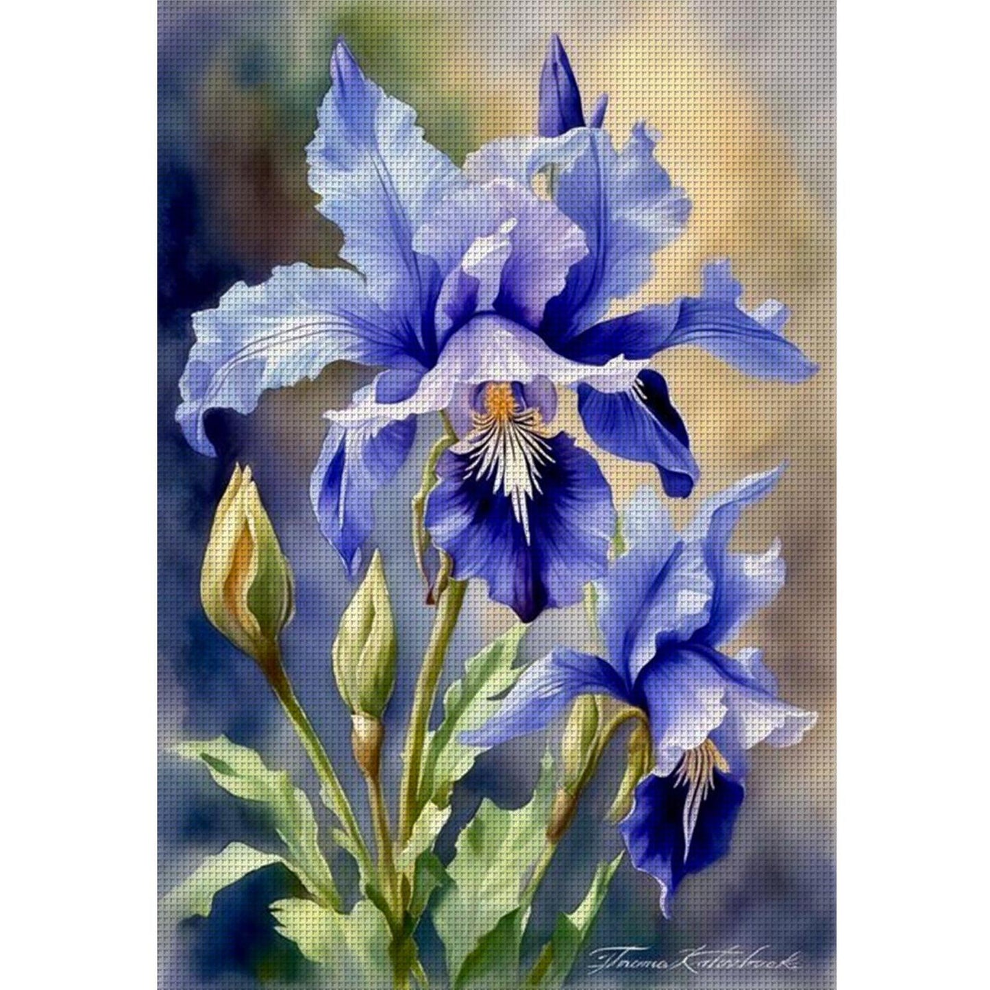 Iris - Full 11CT Stamped Cross Stitch 40x60CM - Huacan