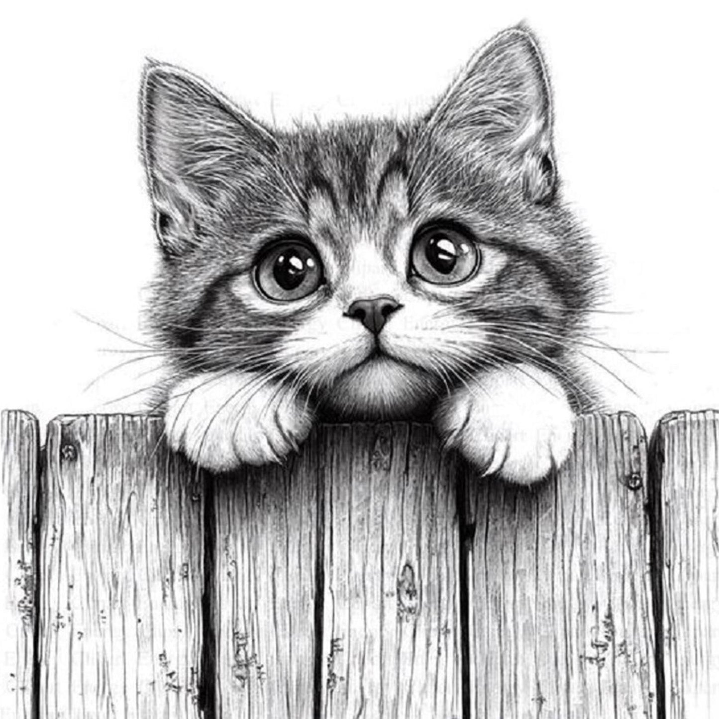 Peeking Cat - Full 11CT Counted Cross Stitch 40x40CM - Yishu