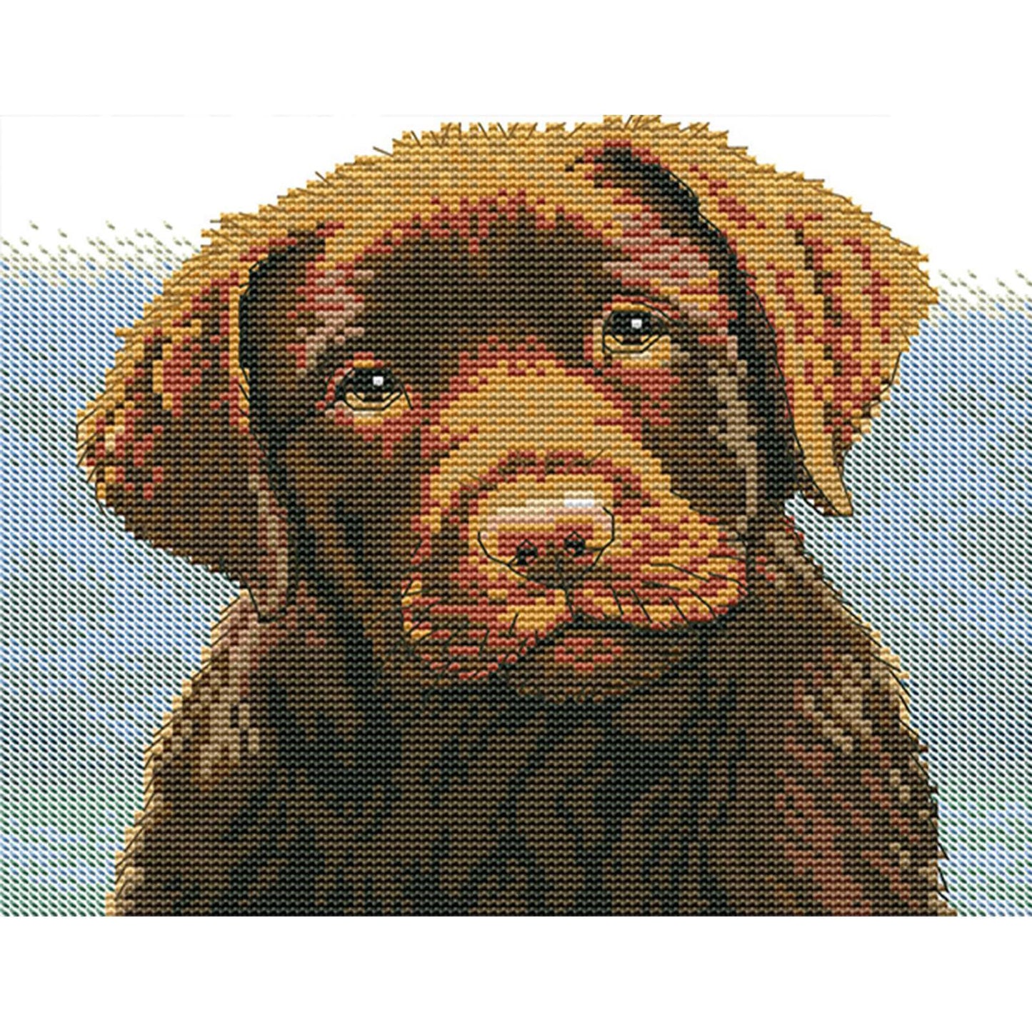 Are You Alright - Partial 14CT Stamped Cross Stitch 27x22CM - Joy Sunday Backstitch+Half Cross Stitch