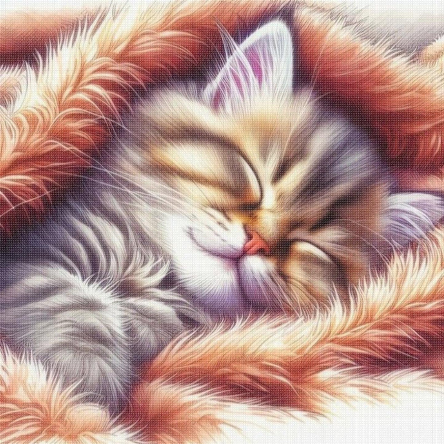 Sleeping Cat - Full 18CT Stamped Cross Stitch 20x20CM - Huacan