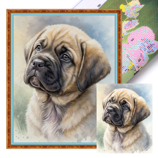 English Mastiff-Dog - Full 11CT Stamped Cross Stitch 40x50CM - Huacan