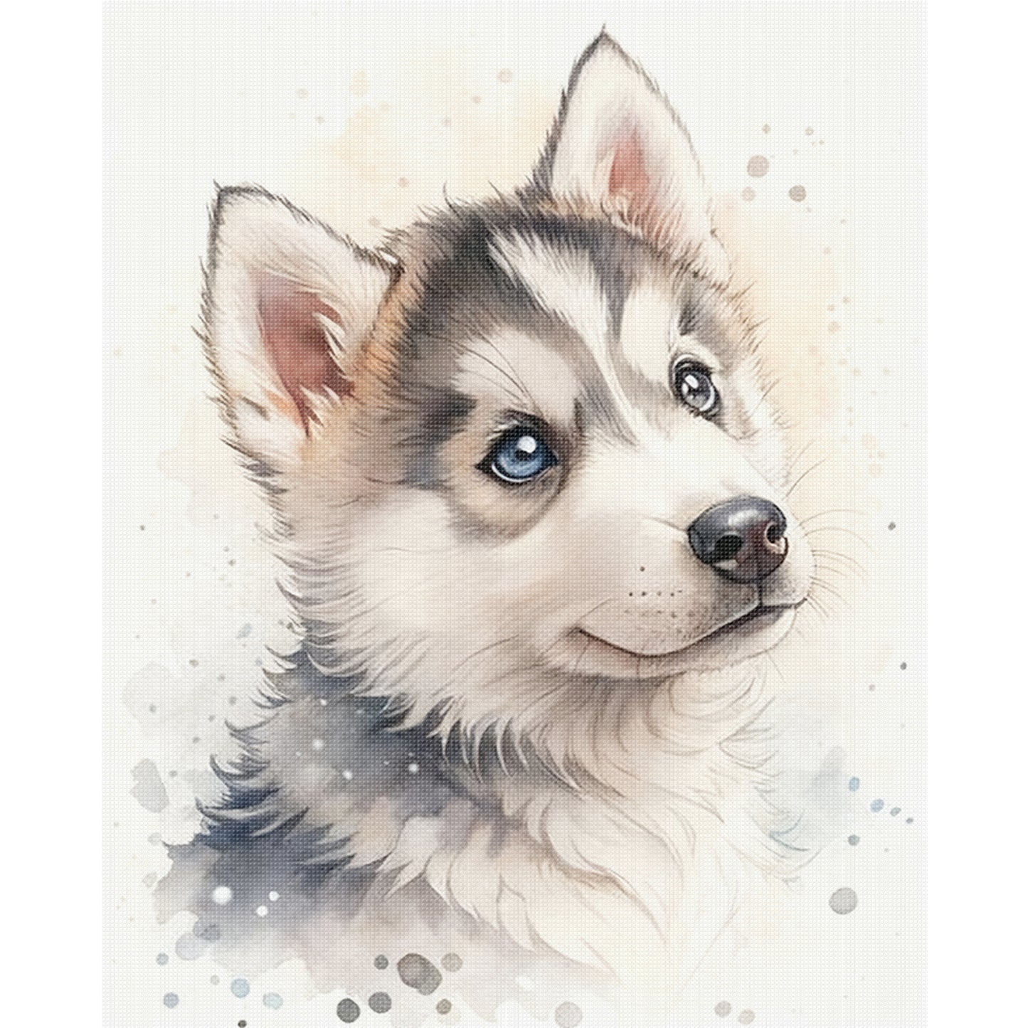 Husky-Dog - Full 11CT Stamped Cross Stitch 40x50CM - Huacan