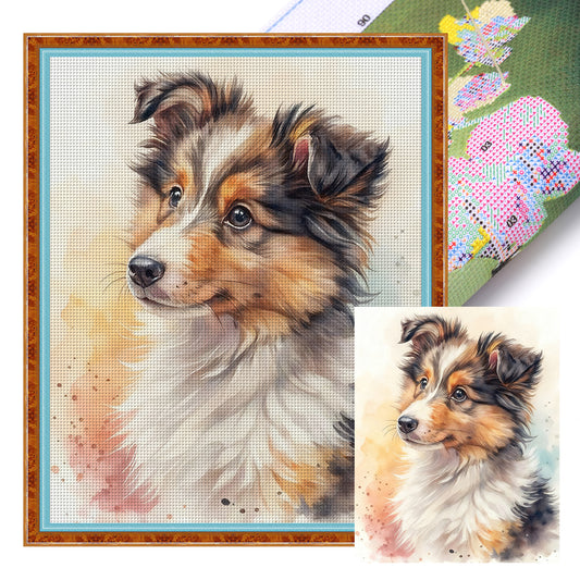 Shetland Sheepdog-Dog - Full 11CT Stamped Cross Stitch 40x50CM - Huacan