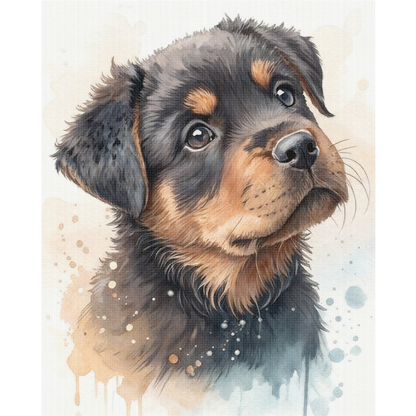 Rottweiler-Dog - Full 11CT Stamped Cross Stitch 40x50CM - Huacan