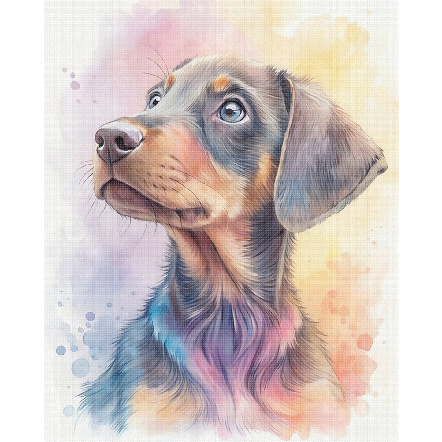 Dachshund-Dog - Full 11CT Stamped Cross Stitch 40x50CM - Huacan