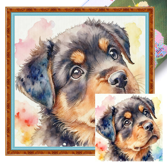 Rottweiler Puppy-Dog - Full 18CT Stamped Cross Stitch 20x20CM - Huacan