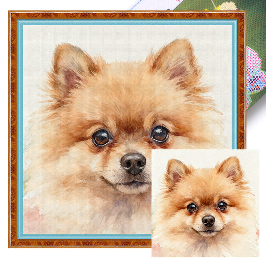 Pomeranian-Dog - Full 18CT Stamped Cross Stitch 20x20CM - Huacan