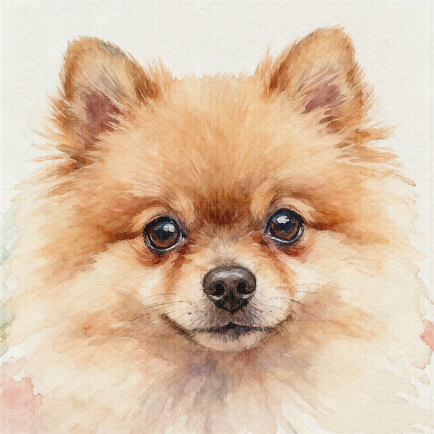 Pomeranian-Dog - Full 18CT Stamped Cross Stitch 20x20CM - Huacan