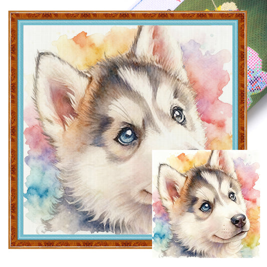 Husky-Dog - Full 18CT Stamped Cross Stitch 20x20CM - Huacan