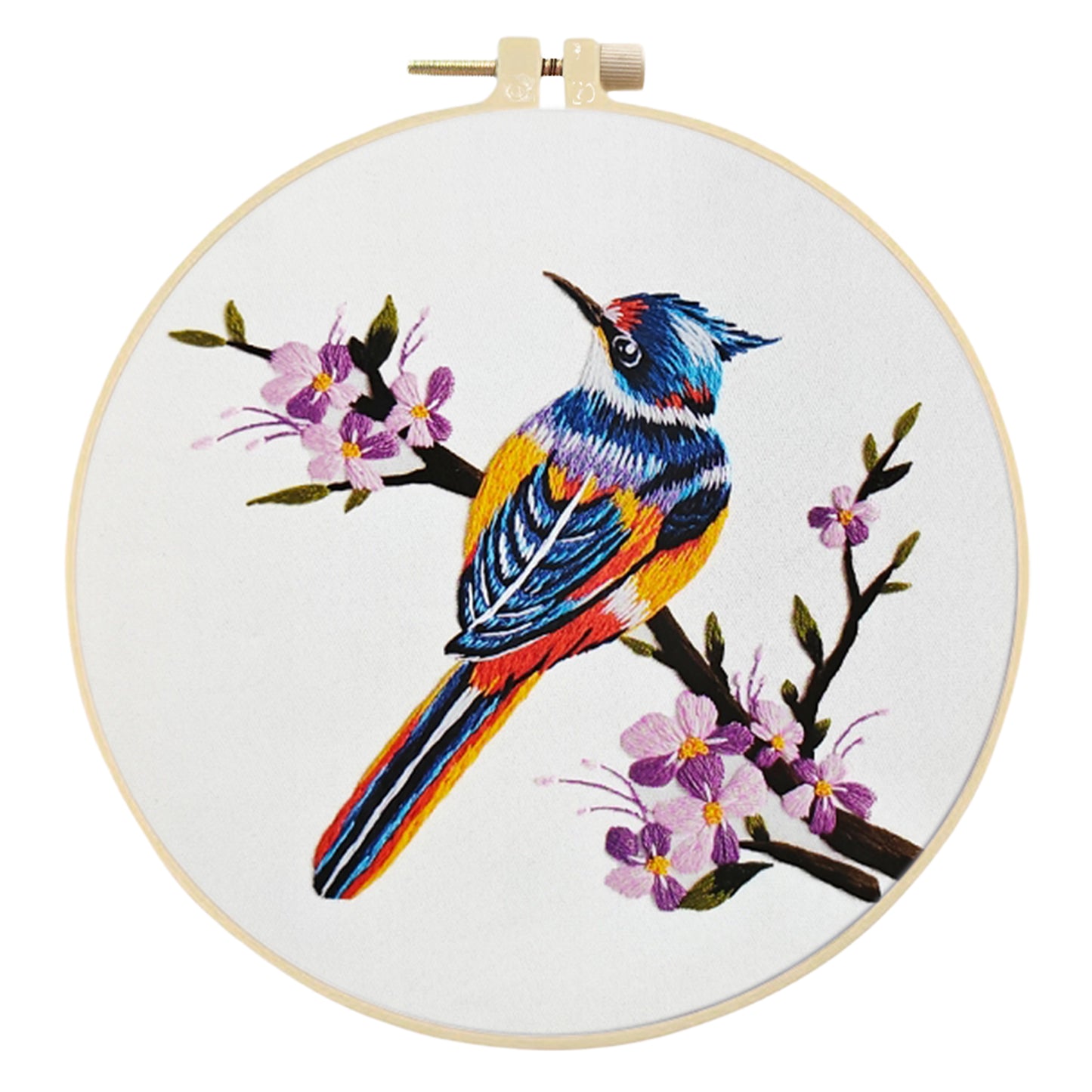4PCS Birds - DIY Embroidery Cross Stitch Kit with Pattern Cotton Threads Needles Hoop 30x30CM/11.81x11.81in