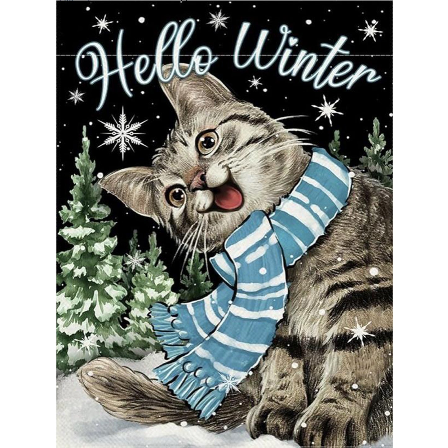 Winter Tabby Cat - Full 11CT Stamped Cross Stitch 40x55CM - Huacan