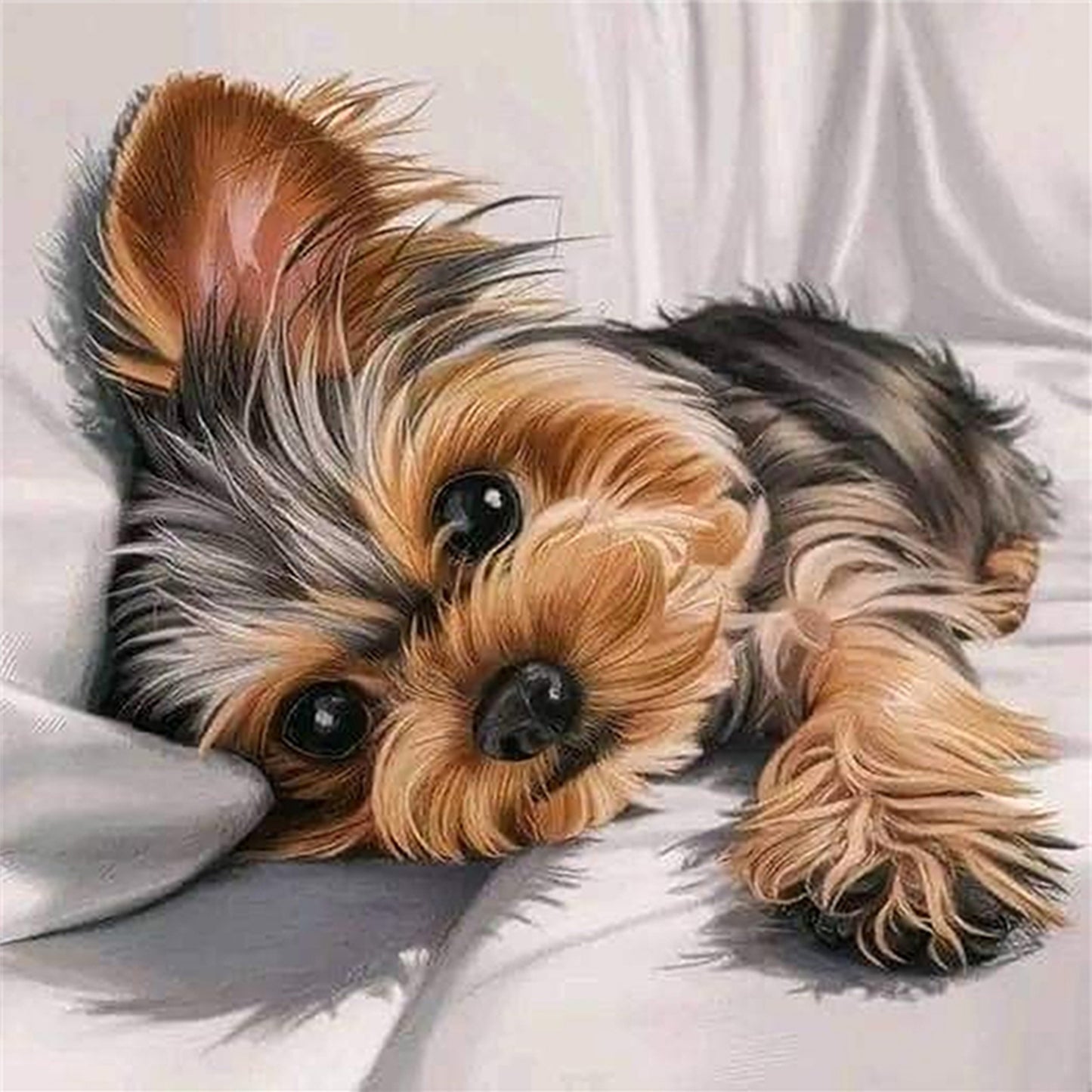 Yorkshire Terrier - Full 11CT Counted Cross Stitch 40x40CM - Huacan