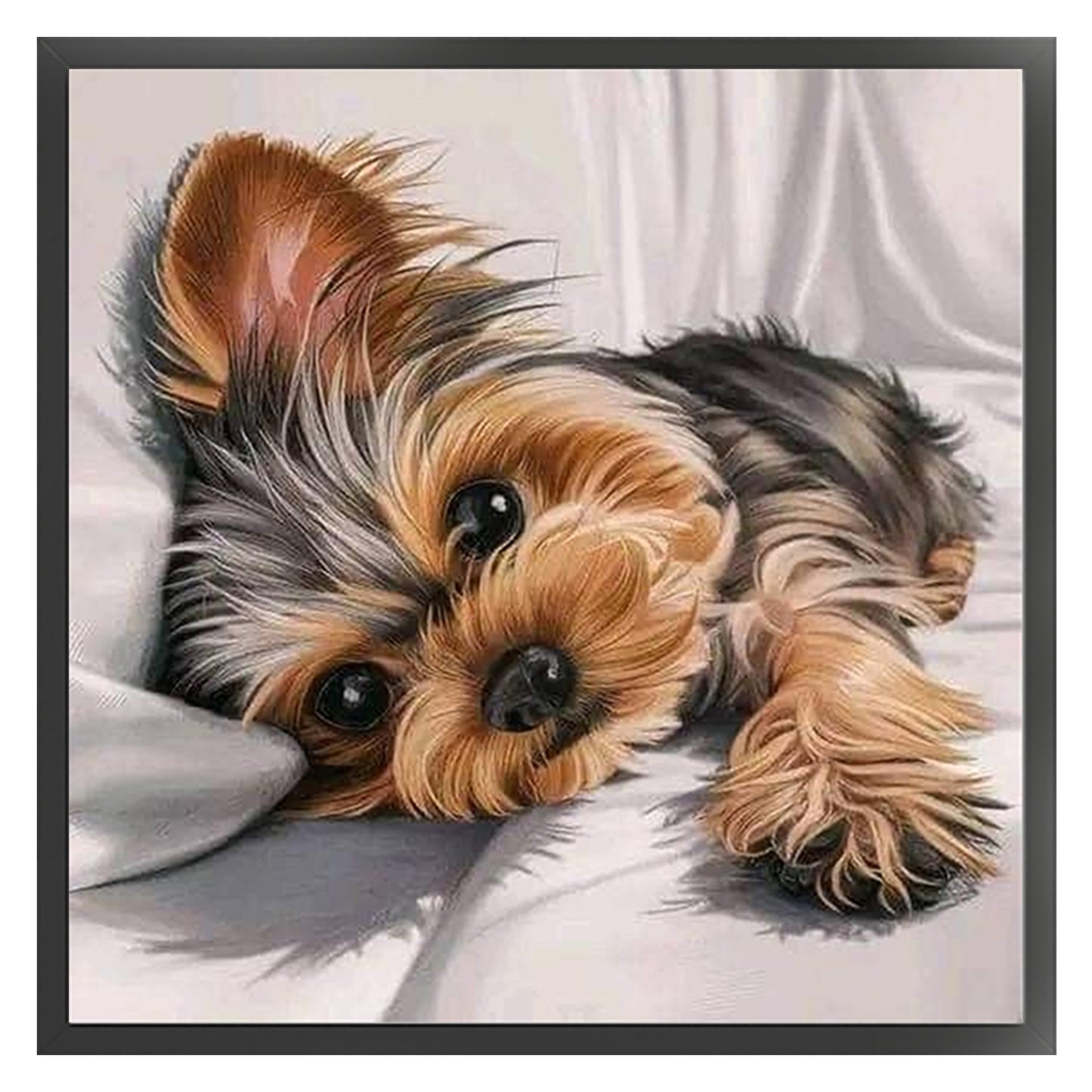 Yorkshire Terrier - Full 11CT Counted Cross Stitch 40x40CM - Huacan