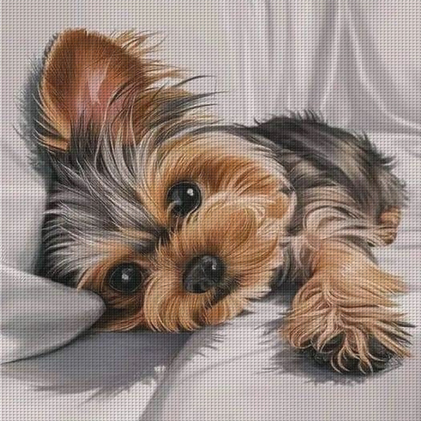 Yorkshire Terrier - Full 11CT Counted Cross Stitch 40x40CM - Huacan