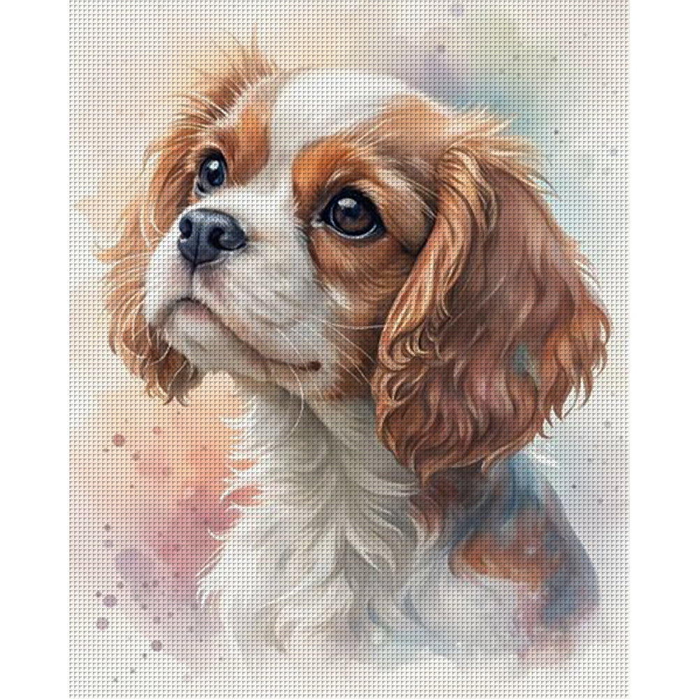 Cavalier King Charles Spaniel-Dog - Full 11CT Counted Cross Stitch 40x50CM - Huacan