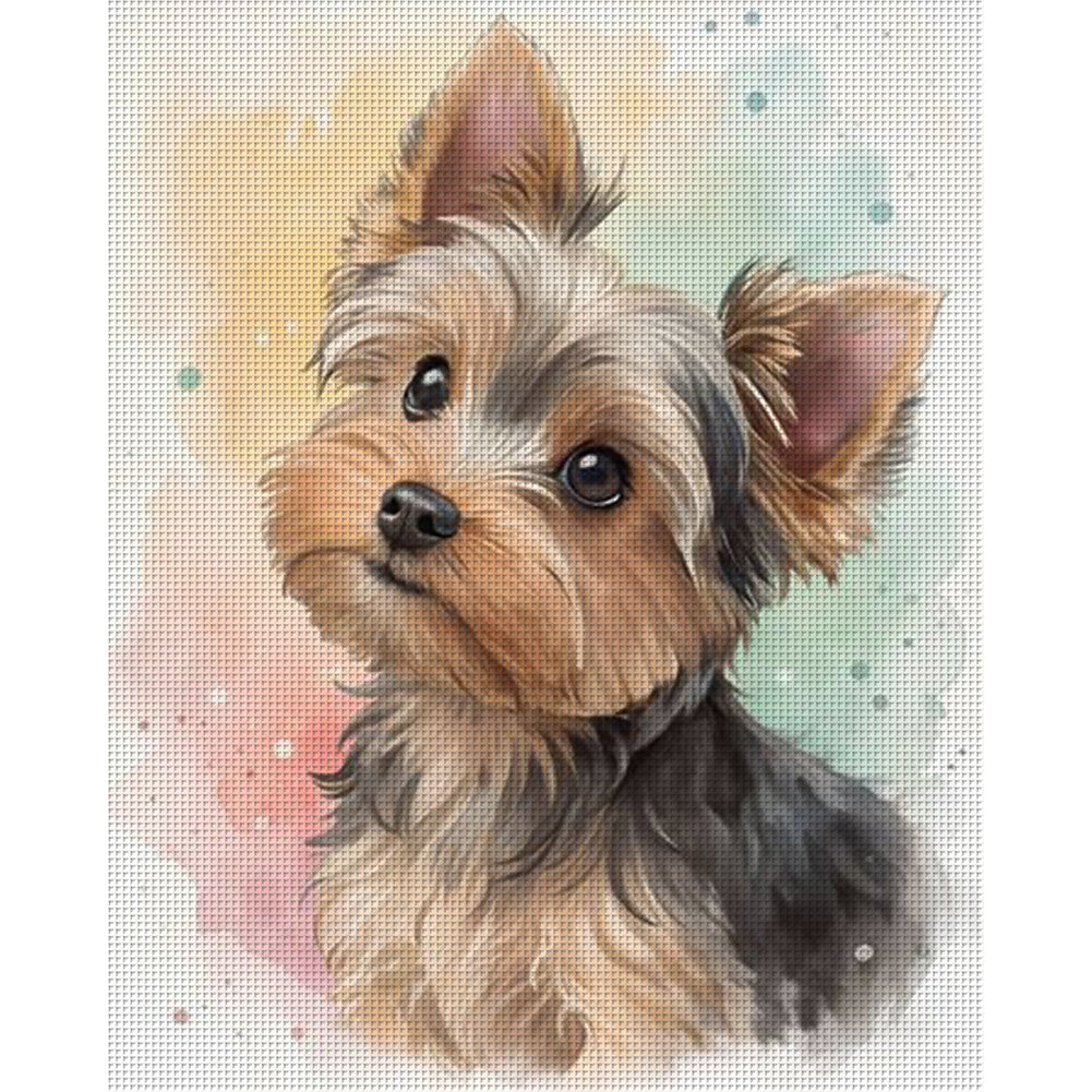 Yorkshire Terrier-Dog - Full 11CT Counted Cross Stitch 40x50CM - Huacan