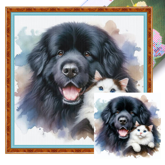 Newfoundl-Dog And And Ragdoll Cat - Full 11CT Stamped Cross Stitch 40x40CM - Huacan