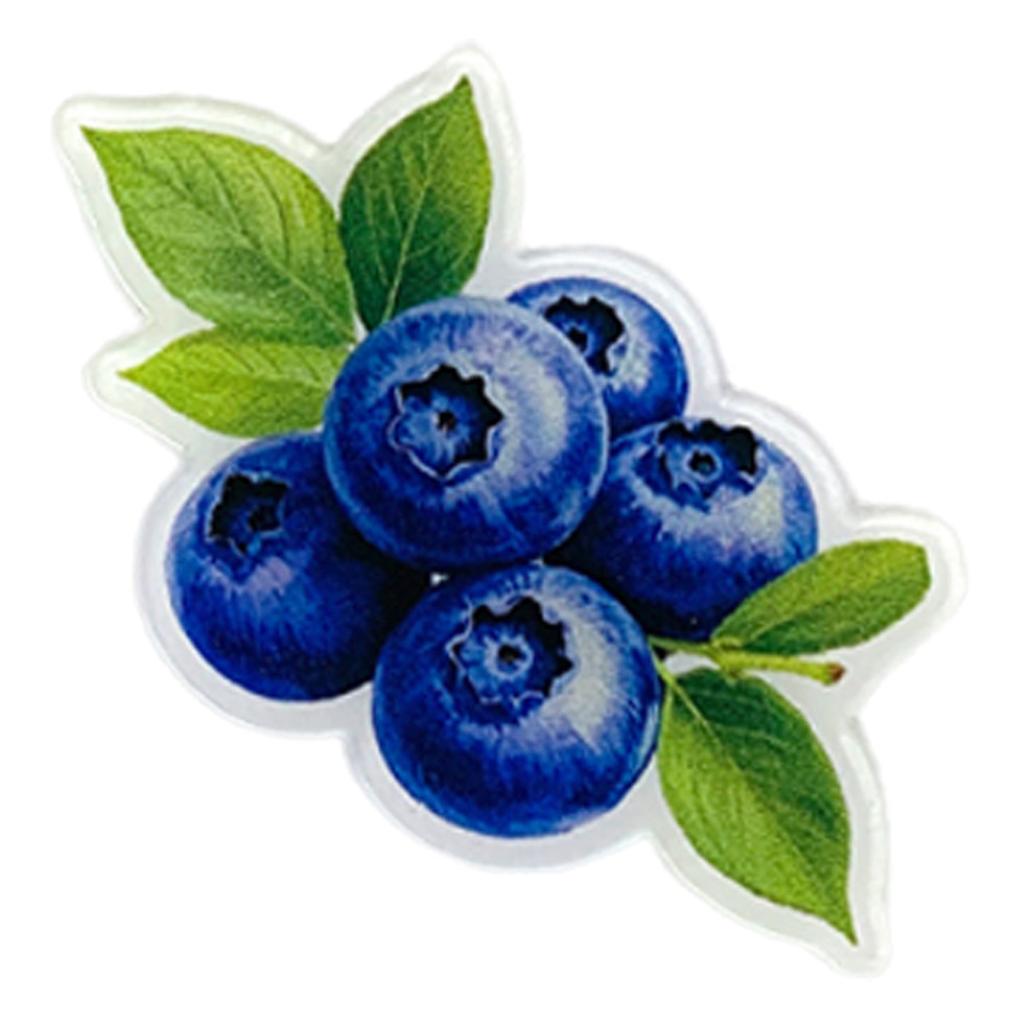 Blueberry Magnetic Acrylic Needle Minder for Cross Stitch and Embroidery