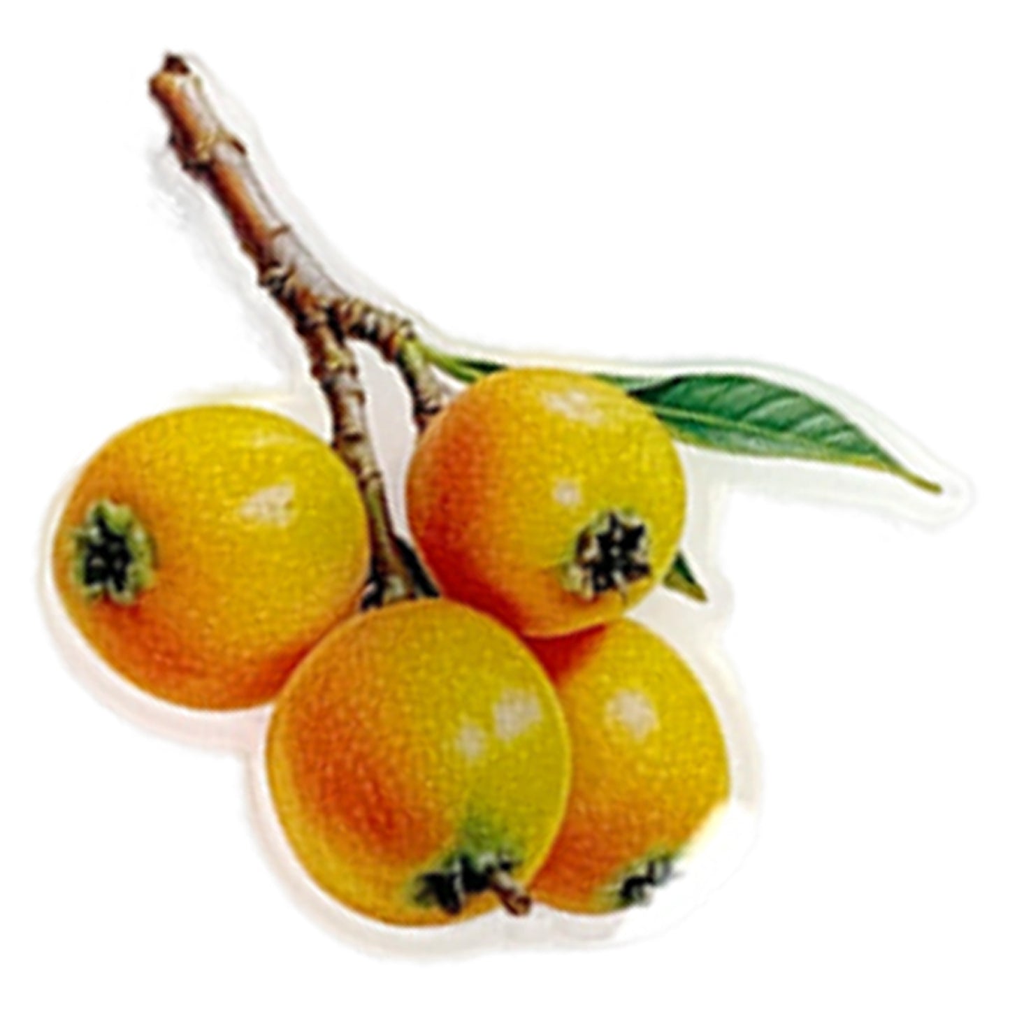 Loquat Magnetic Acrylic Needle Minder for Cross Stitch and Embroidery Supplies