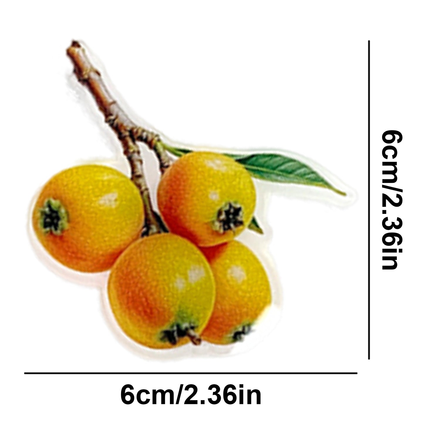 Loquat Magnetic Acrylic Needle Minder for Cross Stitch and Embroidery Supplies