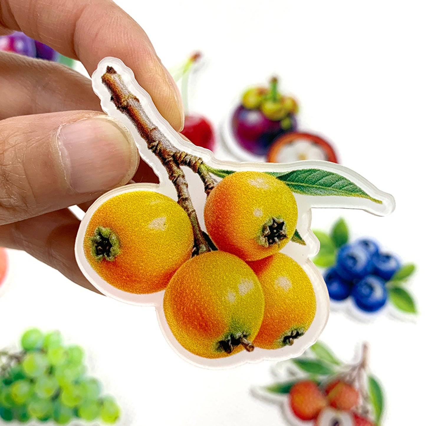 Loquat Magnetic Acrylic Needle Minder for Cross Stitch and Embroidery Supplies
