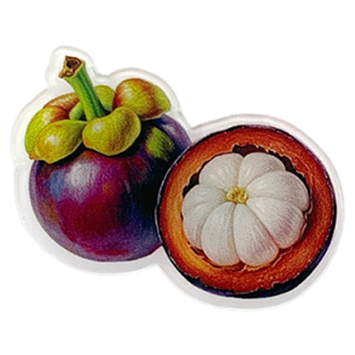 Mangosteen Magnetic Acrylic Needle Minder for Cross Stitch and Embroidery