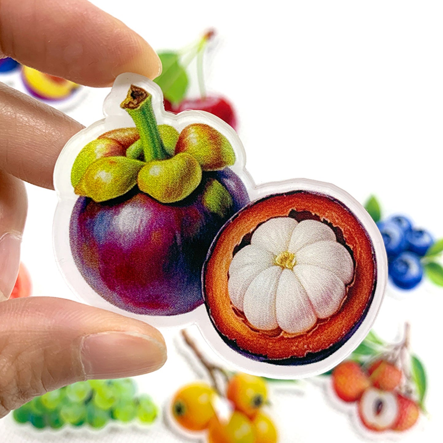 Mangosteen Magnetic Acrylic Needle Minder for Cross Stitch and Embroidery