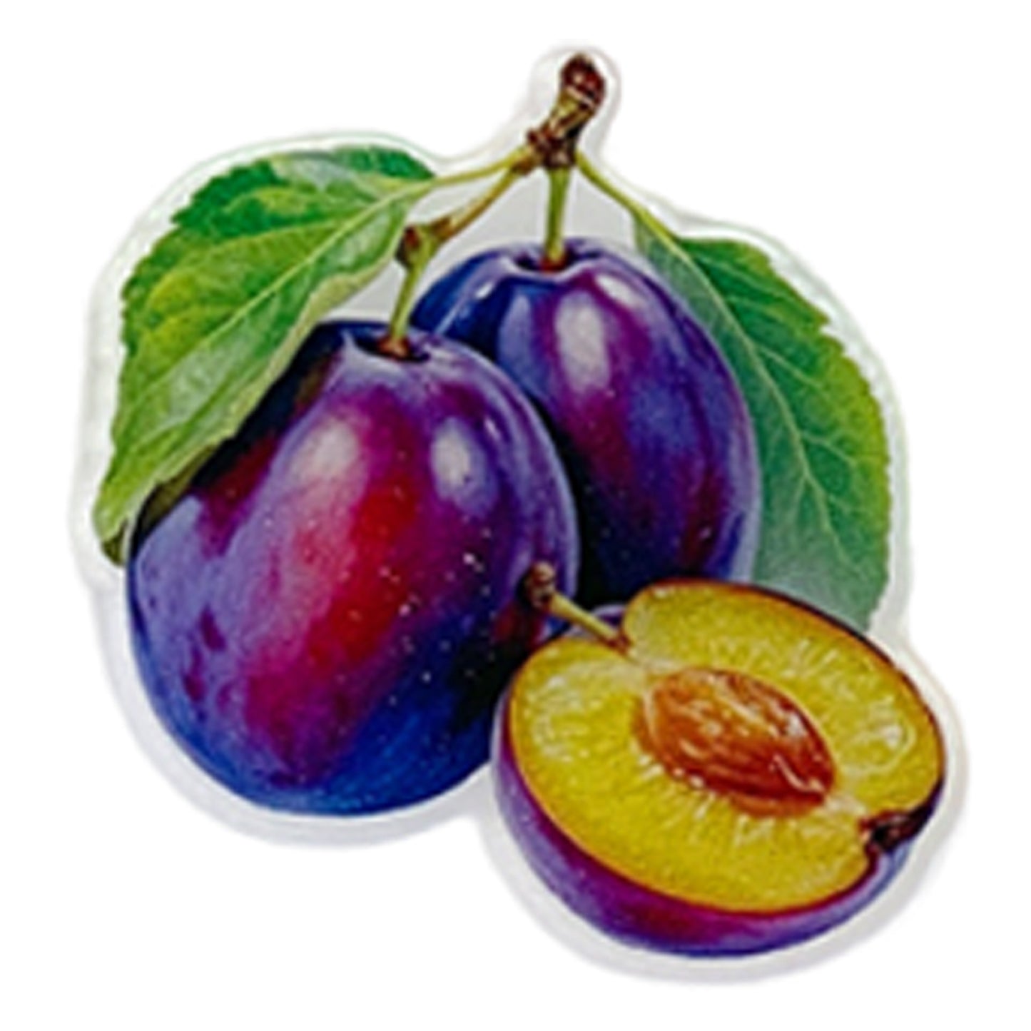 Prune Magnetic Acrylic Needle Minder for Cross Stitch and Embroidery Supplies
