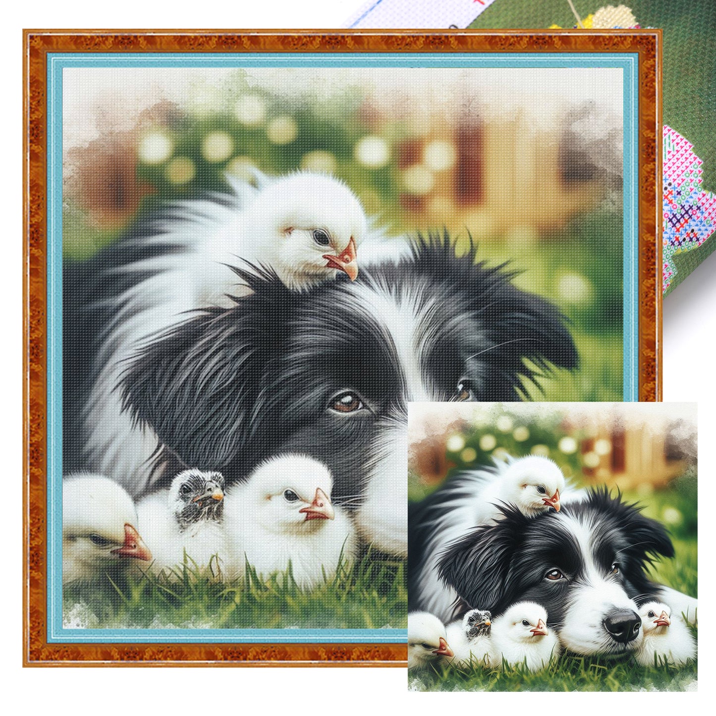 Border Collie And Chick - Full 11CT Stamped Cross Stitch 40x40CM - Huacan