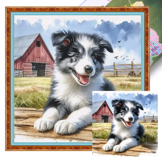Shepherd Puppy-Dog And Farm - Full 11CT Stamped Cross Stitch 40x40CM - Huacan