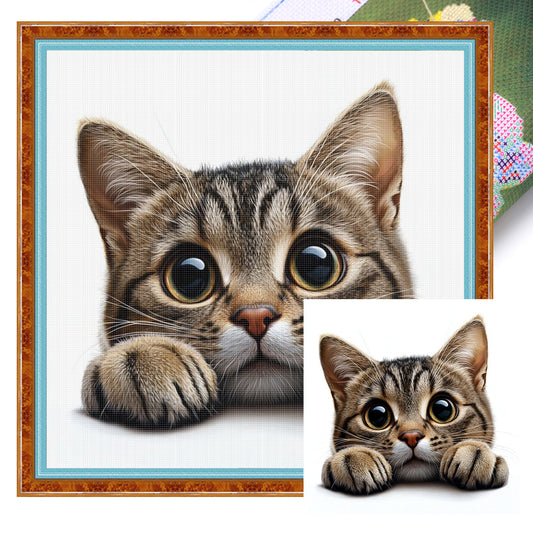 Tabby Cat - Full 11CT Stamped Cross Stitch 40x40CM - Huacan