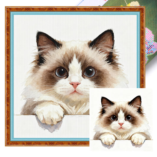 Ragdoll Cat - Full 11CT Stamped Cross Stitch 40x40CM - Huacan