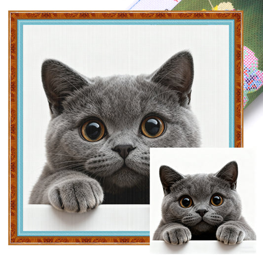 Blue Cat - Full 11CT Stamped Cross Stitch 40x40CM - Huacan