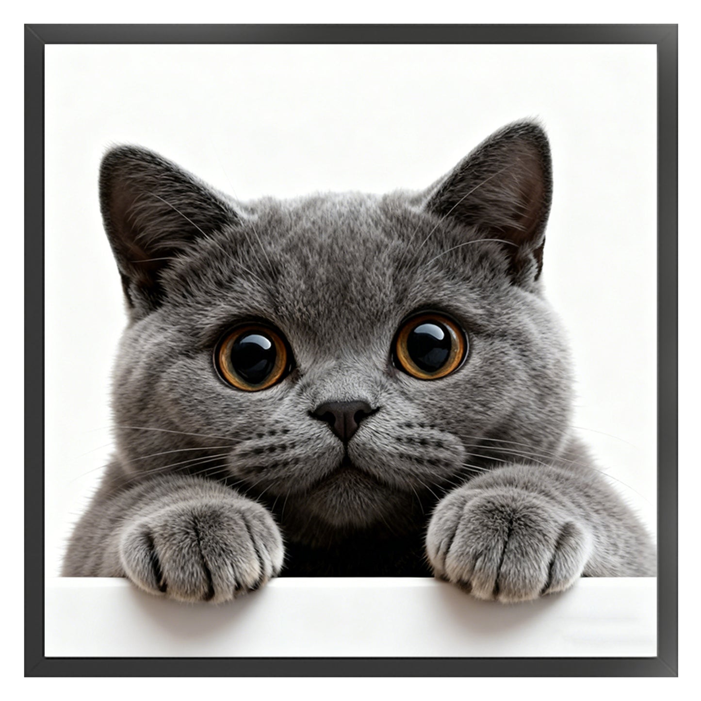 Blue Cat - Full 11CT Stamped Cross Stitch 40x40CM - Huacan