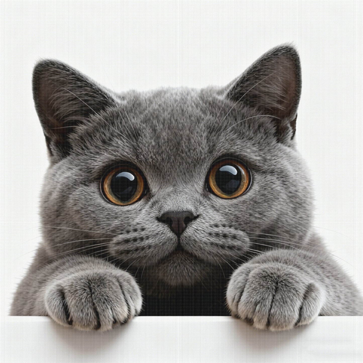 Blue Cat - Full 11CT Stamped Cross Stitch 40x40CM - Huacan