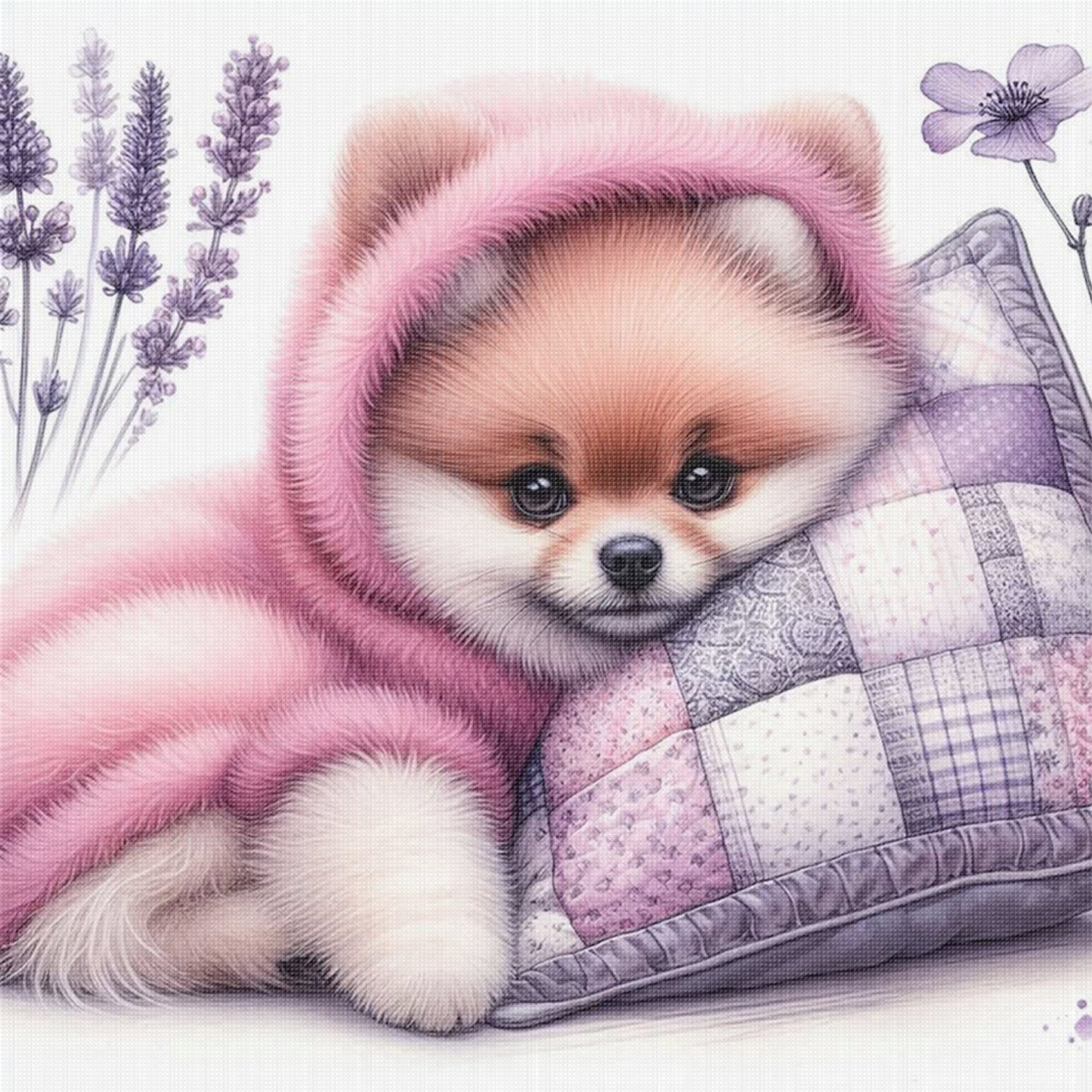 Pomeranian-Dog - Full 11CT Stamped Cross Stitch 40x40CM - Yishu