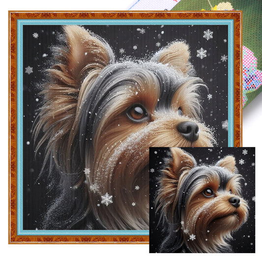 Schnauzer In Snow-Dog - Full 11CT Stamped Cross Stitch 40x40CM - Huacan