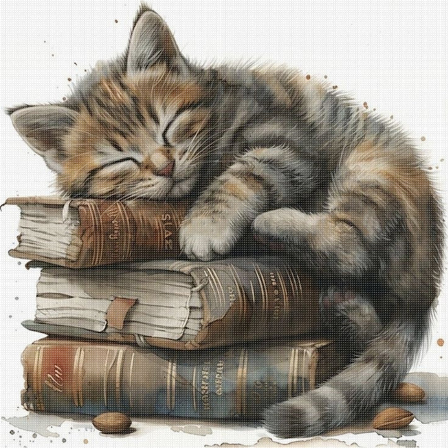 Cat And Book Stack - Full 11CT Stamped Cross Stitch 40x40CM - Huacan